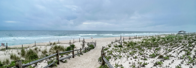 Walkway to beach amongst the dunes