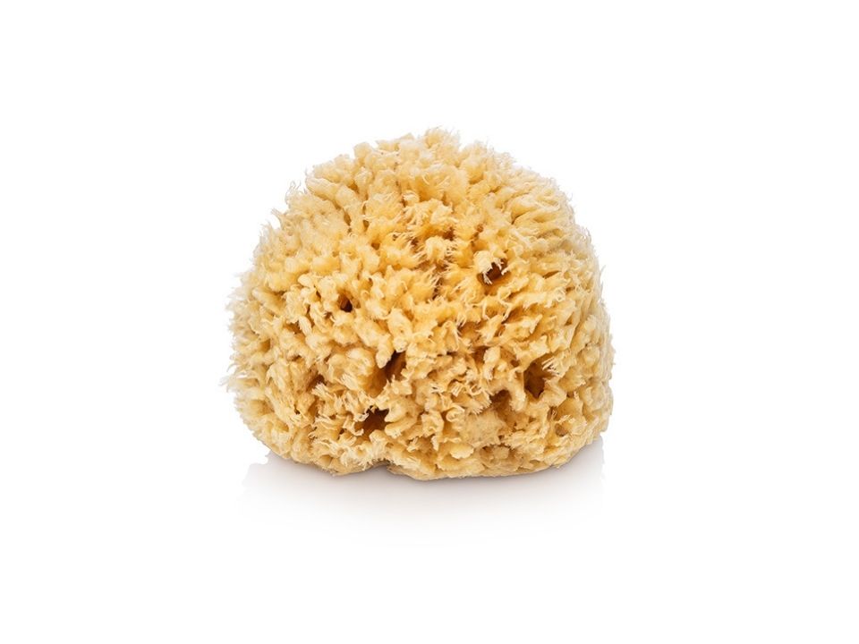 Wool Bath Sea Sponge