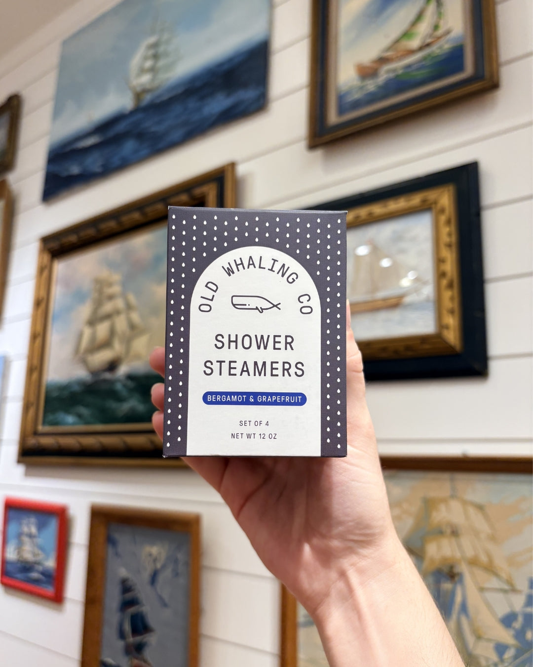hand holding Bergamot & Grapefruit shower steamers in front of ship paintings