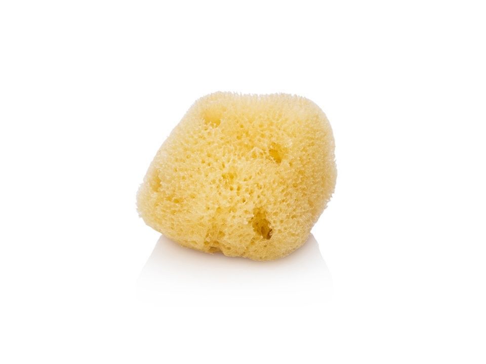 Silk Facial Sea Sponge