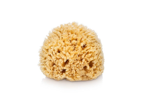 WHOA MAMA! Ultra Soft & Luxurious Medium Sea Wool Bath Sponge